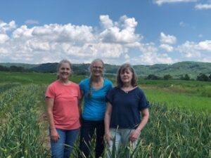 sisters 3 family garlic farm