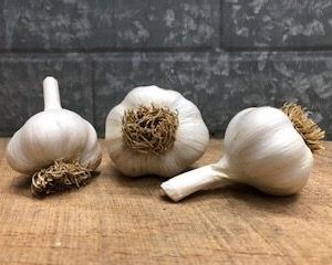 Robust Varieties