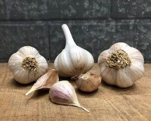Music Garlic