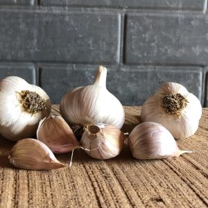 German Porcelain Garlic